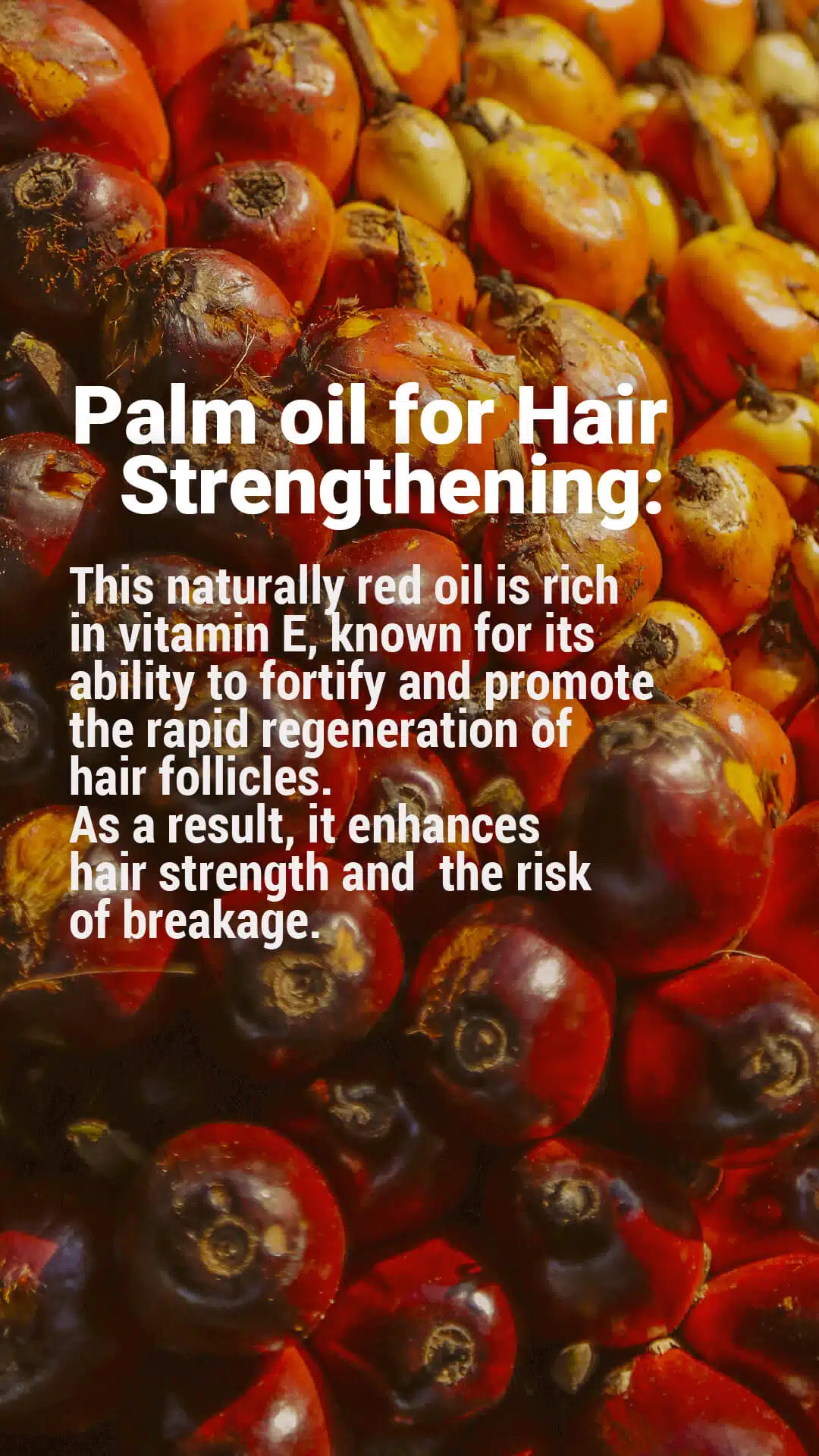 How It Works PIRSUM B 02-02