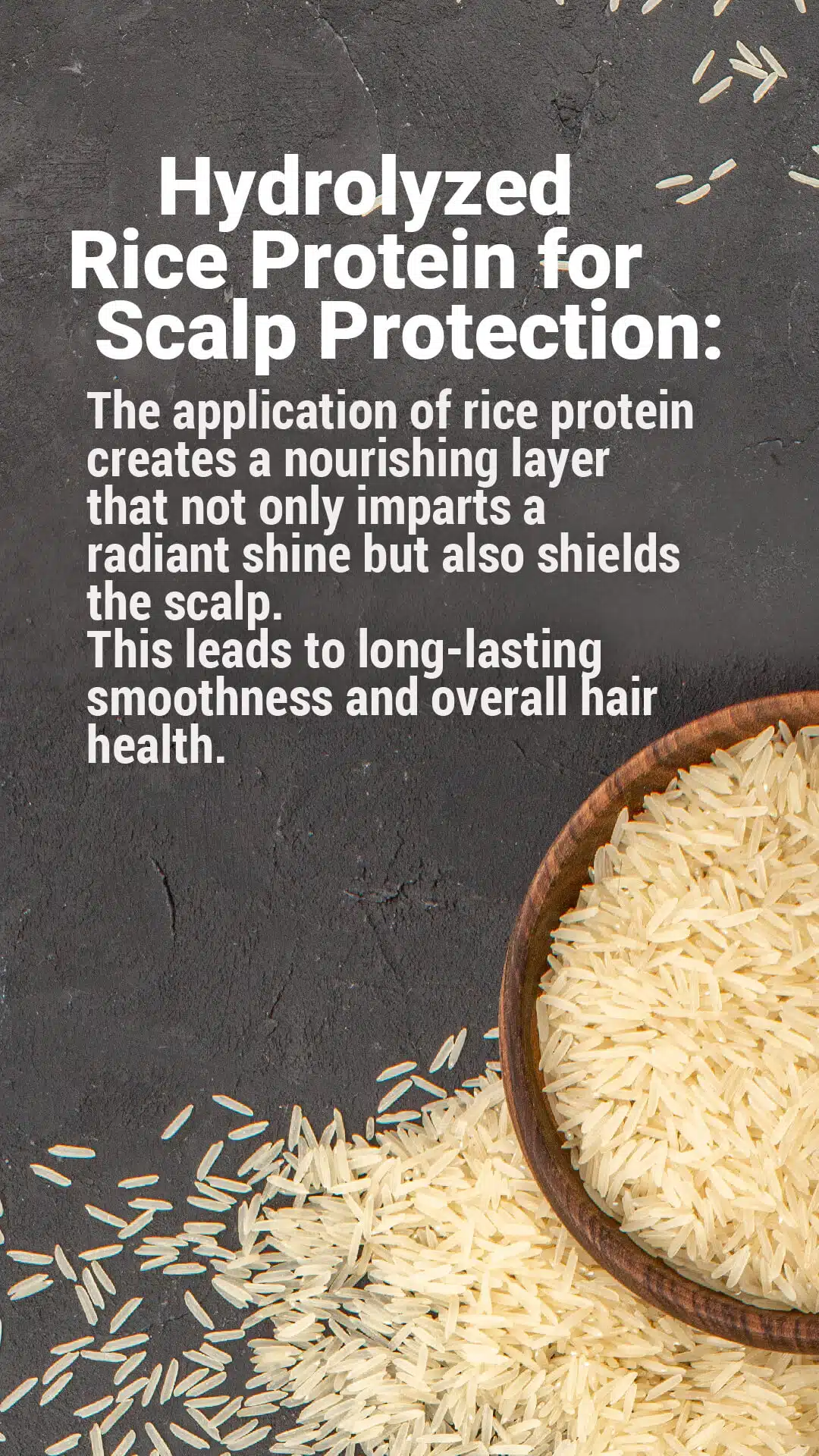 How It Works PIRSUM B 02-06